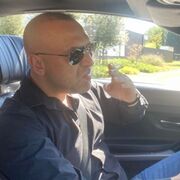 Dmi 43 Brussels