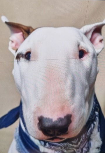 Preditor (@preditor) — my photo № 1